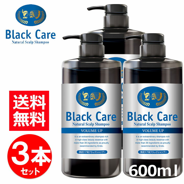 【2,310円お得！】ブラック・ケアシャンプー 600ml 3本 ブラックケアシャンプー ブラックシャンプー リンス不要 スカルプ シャンプー ボリューム ハリ コシ しっとり さらさら 弱酸性 天然成分 地肌ケア レディース メンズ ボトル