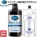 【 シャンプー & 詰め替え パウチ リフィル セット】 ブラックケアシャンプー 600ml 1本 + 詰め替え用 パウチ 400g 1袋セット 頭皮ケア スカルプ シャンプー ボリューム ツヤ 潤い しっとり さらさら ダメージ補修 地肌ケア ブラシャン ブラックシャンプー SET