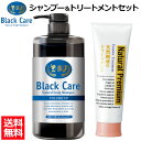 【 シャンプー & トリートメント セット】 ブラックケアシャンプー 600ml 1本 + 天然樹液のトリートメントプレミアム 240g 1本セット 頭皮ケア スカルプ シャンプー ボリューム ツヤ 潤い しっとり さらさら ダメージ補修 地肌ケア ヘアトリートメント ダメージケア