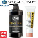 【 シャンプー & トリートメント セット】 ブラックケアシャンプー KD 600ml 1本 + 天然樹液のトリートメントプレミアム 240g 1本セット 頭皮ケア スカルプ シャンプー ボリューム ツヤ 潤い しっとり さらさら ダメージ補修 地肌ケア ヘアトリートメント ダメージケア