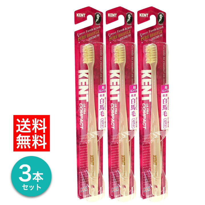 【1000円ポッキリ】送料無料！ KENT 