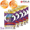 【ポイント20倍!24日10時~27日9時59分まで】 風光明媚 エクソソームアイ 5袋 セット 合計150粒(約150日分) けんしん サポートサプリ ルテイン40mg ゼアキサンチン2mg エクソソーム ハスカップ アイケア 目 サプリメント メグスリノキ がごめ昆布 コンドロイチン サプリ