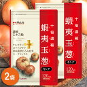 蝦夷玉葱キング 120粒(約30日分) 2袋 セット けんしん サポートサプリ サプリメント たまねぎ タマネギ 玉ねぎ ケルセチン ゑびすカボチャ 黒酢 ゴマ...