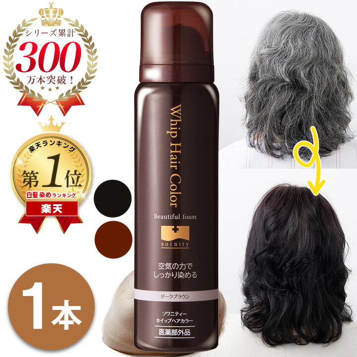 白髪染め 永久染毛剤 ソワニティー ホイップへアカラー 80g 1本 泡 泡カラー 選べる2色 ブラック/ダー..