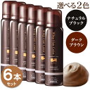 白髪染め 永久染毛剤 ソワニティー ホイップへアカラー 80g 6本セット 泡 泡カラー 選べる2色 ブラック/ダークブラウン 白髪染 医薬部外品