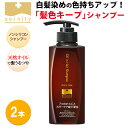 ソワニティーオイルインヘアシャンプー 400ml 2本セット ソワニティーシャンプー ソワシャン カラーヘア用 カラーケア ノンシリコン シャンプー