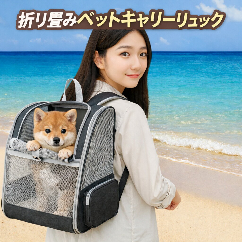 ＜本日50%OFF＞【 いつもいっしょ！ 折り畳み ペット キャリー バッグ 】 小型犬 リュック 犬 猫 わんこ にゃんこ お出かけ 軽量 ブルー ブラック ホワイト 青 黒 白 楽 散歩 予防接種 旅行 バック おしゃれ オシャレ 高見え 韓国風 送料無料 公式 GODSGOODS