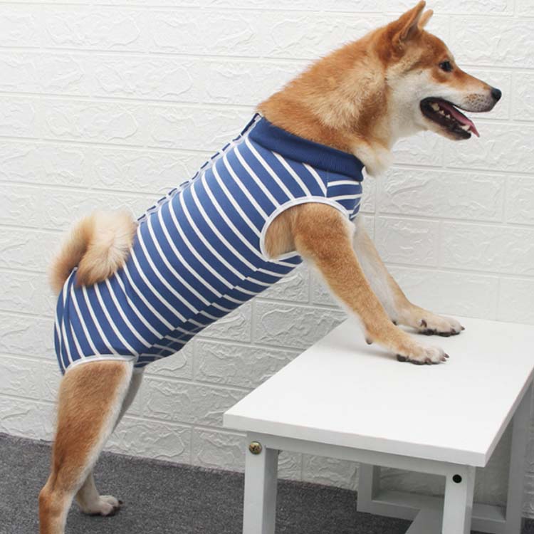 避妊 犬介護服 術後服 術後ウェア 保護服 術後服 傷口保護 傷舐め防止 服 皮膚保護...