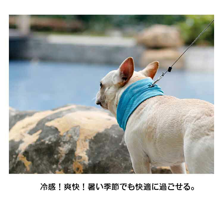 接触冷感 首 ネッククーラー 暑さ対策 ペット用 夏用 ネックガード 犬 ひんやり 冷...