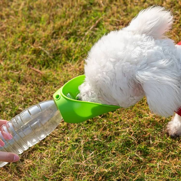 犬 ペットボトル対応 折りたたみ ペット給水器 2個セット 散歩 ドライブ 犬 猫 給...