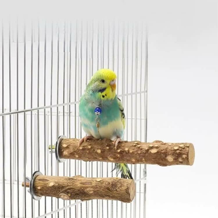 オウム 4本セット 鳥用止まり木 止まり木 爪とぎ セキセイインコ 20cm インコ マメ...