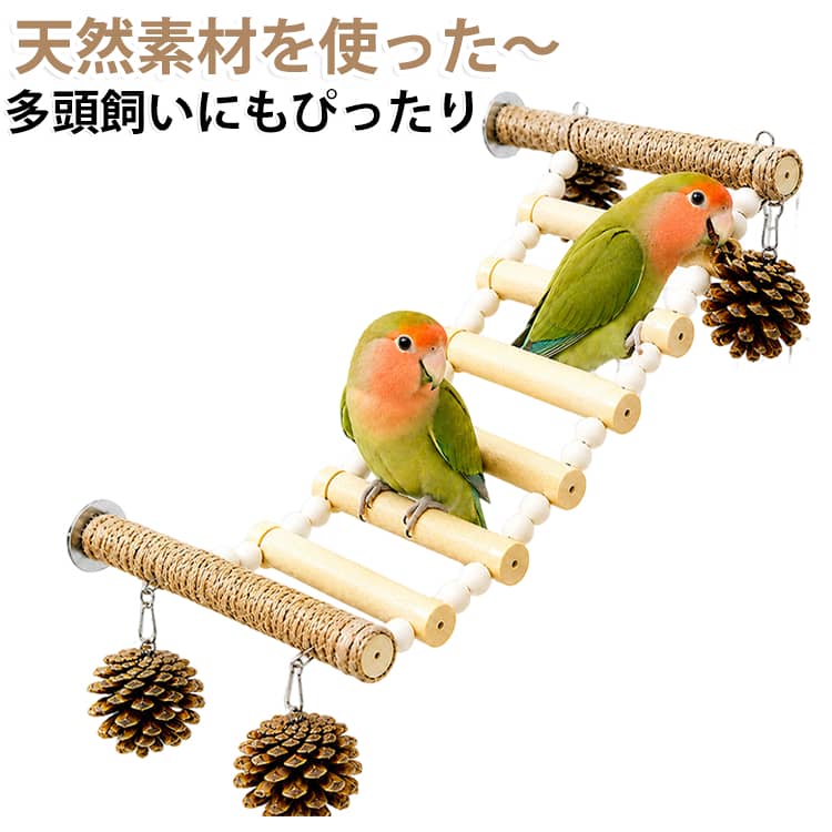 天然素材を使った、多頭飼いにもぴったりな4本枝式の止まり木です。 サイズ F サイズについての説明 ※実寸はメジャー採寸の為、若干の誤差が生じる場合があります。 素材 麻 天然木 ステンレス 色 天然素材 備考 ●サイズ詳細等の測り方はスタッフ間で統一、徹底はしておりますが、実寸は商品によって若干の誤差(1cm～3cm )がある場合がございますので、予めご了承ください。 ●製造ロットにより、細部形状の違いや、同色でも色味に多少の誤差が生じます。 ●パッケージは改良のため予告なく仕様を変更する場合があります。 ▼商品の色は、撮影時の光や、お客様のモニターの色具合などにより、実際の商品と異なる場合がございます。あらかじめ、ご了承ください。 ▼生地の特性上、やや匂いが強く感じられるものもございます。数日のご使用や陰干しなどで気になる匂いはほとんど感じられなくなります。 ▼同じ商品でも生産時期により形やサイズ、カラーに多少の誤差が生じる場合もございます。 ▼他店舗でも在庫を共有して販売をしている為、受注後欠品となる場合もございます。予め、ご了承お願い申し上げます。 ▼出荷前に全て検品を行っておりますが、万が一商品に不具合があった場合は、お問い合わせフォームまたはメールよりご連絡頂けます様お願い申し上げます。速やかに対応致しますのでご安心ください。