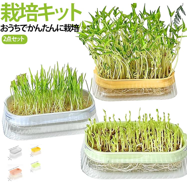 栽培キット ブロッコリースプラウト 育てる 栽培容器2個 もやし 野菜 室内栽培 水耕栽培 初心者 ブロッコリースプラウト キッチン おうち菜園 コンパクト