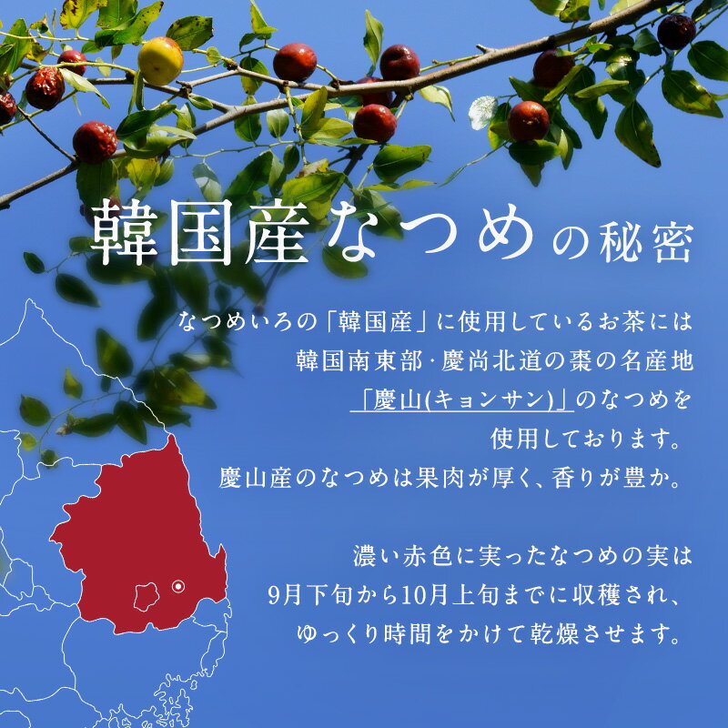 【新発売】なつめいろのお茶スターターセットなつめいろ母の日新生活ご挨拶ギフト砂糖不使用無添加なつめ茶水出しノンカフェインプレゼント棗ナツメ薬膳食材国産なつめ飲み比べハーブティー美肌フルーツティー妊活漢方ティーバッグ