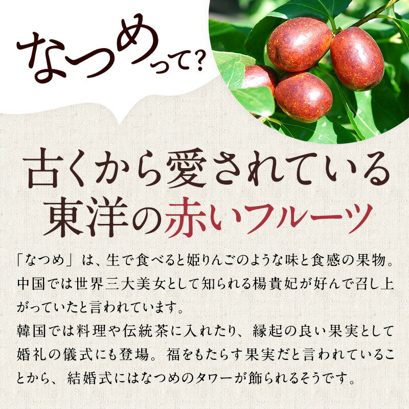 【新発売】なつめいろのお茶スターターセットなつめいろ母の日新生活ご挨拶ギフト砂糖不使用無添加なつめ茶水出しノンカフェインプレゼント棗ナツメ薬膳食材国産なつめ飲み比べハーブティー美肌フルーツティー妊活漢方ティーバッグ