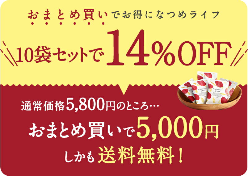 【送料無料】なつめチップ24gtimes;10個(ドライフルーツギフト栄養食品ナツメ薬膳乾燥なつめ美活ママ活プレゼントスーパーフード低カロリー葉酸鉄分美容ダイエットお徳用ナツメチップなつめチップスナツメチップス)