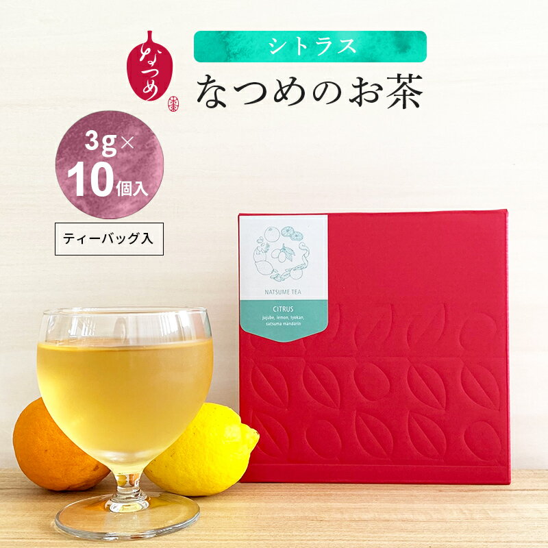 なつめティー「WESTERN」10個入りなつめ棗なつめチップなつめいろお茶ハーブティー葉酸妊活ギフト韓国グラノーラシリアルハロウィンお歳暮母の日父の日