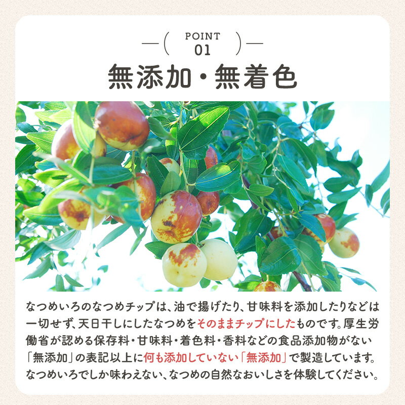 【ポイント5倍5/920:00~5/161:59】送料無料★なつめチップ2サイズセット(母の日ギフトお徳用なつめチップス棗ドライフルーツドライなつめ乾燥なつめ無添加無着色砂糖不使用子供お菓子ダイエット低カロリーヘルシー薬膳プレゼント出産祝い韓国)