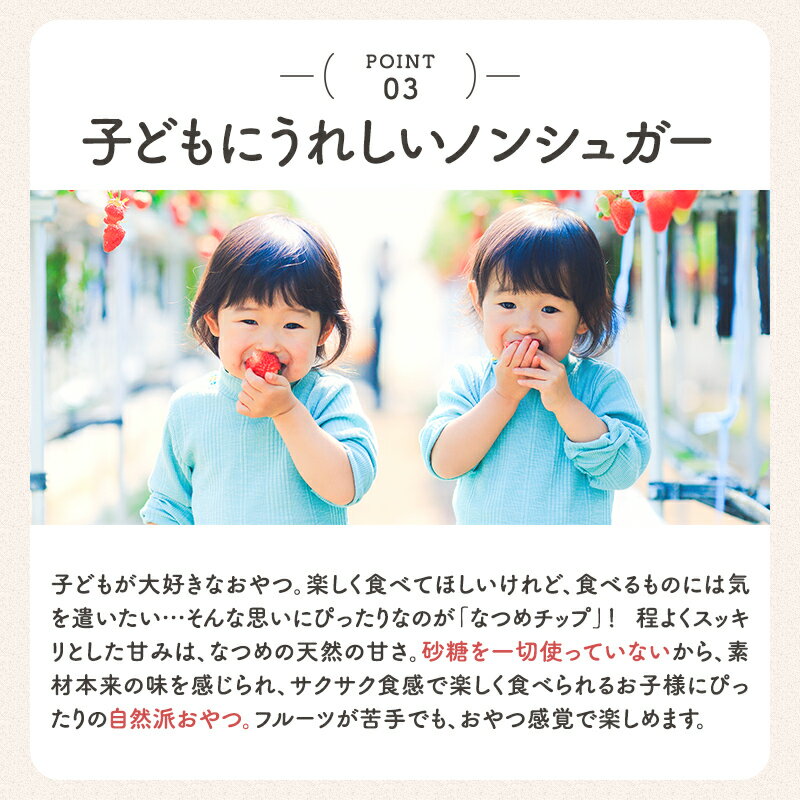 【ポイント5倍5/920:00~5/161:59】送料無料★なつめチップ2サイズセット(母の日ギフトお徳用なつめチップス棗ドライフルーツドライなつめ乾燥なつめ無添加無着色砂糖不使用子供お菓子ダイエット低カロリーヘルシー薬膳プレゼント出産祝い韓国)