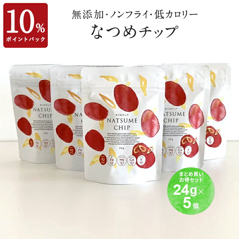 【10%ポイントバック 9/15 9:59まで】通常価格より14％OFF★なつめチップ24g×5個セット(まとめ買い ストック なつめチップス なつめ ナツメ 棗 大棗 韓国 ドライフルーツ ドライなつめ 無添加 砂糖不使用 子供 おやつ お菓子 ダイエット 健康的 薬膳 ギフト プレゼント)