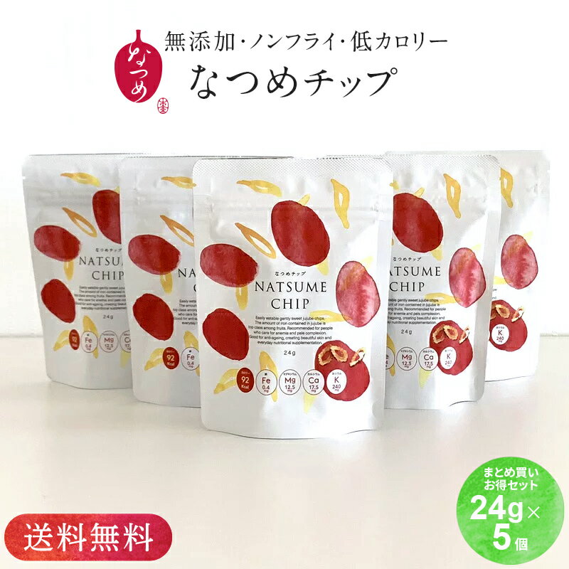 【月間優良ショップ受賞】送料込み★なつめチップ24g×5個セット(ギフト お徳用 なつめチップス 棗 ドライフルーツ 乾燥なつめ 無添加 無着色 砂糖不使用 こども おやつ お菓子 間食 ダイエット中 低カロリー 薬膳 プレゼント 出産祝い 韓国 送料無料)