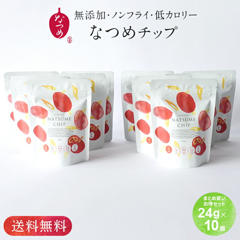 【送料無料】なつめチップ24gtimes;10個(ドライフルーツギフト栄養食品ナツメ薬膳乾燥なつめ美活ママ活プレゼントスーパーフード低カロリー葉酸鉄分美容ダイエットお徳用ナツメチップなつめチップスナツメチップス)