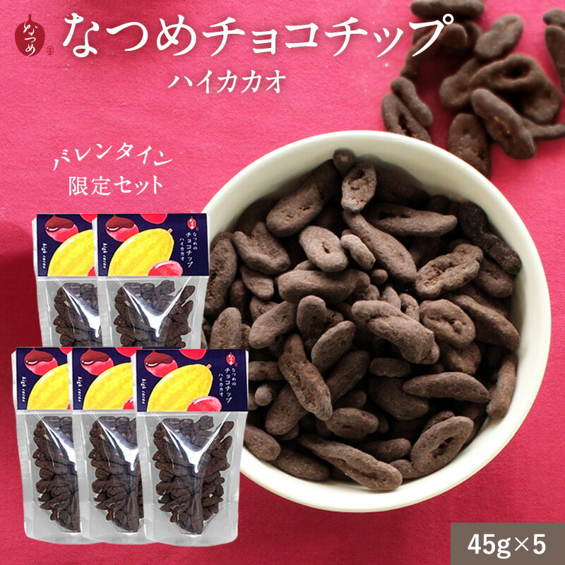 【バレンタイン限定】なつめいろ / なつめチョコ ハイカカオ 45g×5個セット(フルーツチョコレート チョコレート なつめチップ 美容 健康 ヘルシー 低カロリー 棗 ナツメ ポリフェノール おやつ ダイエット プレゼント 5,000円以内)
