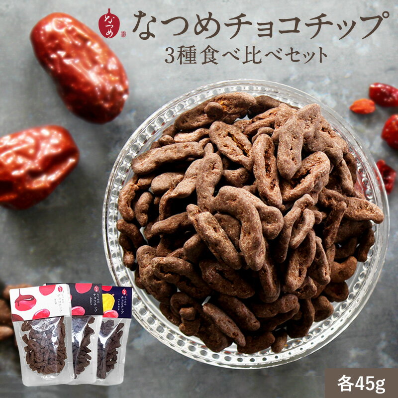 【P5倍 5/16 1:59まで】なつめのチョコチップセット(フルーツチョコレート チョコレート なつめチップ 美容 健康 ヘルシー 低カロリー 棗 ナツメ ポリフェノール おやつ ダイエット プレゼント お試し 女性向けギフト 3,000円以内)