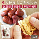 棗専門店 なつめいろ ウイグル産 特選 大粒 なつめ 50g 無農薬 国内検査済み 無添加 砂糖不使用 和田玉なつめ ナツメ 棗 ドライなつめ 実 乾燥なつめ ...