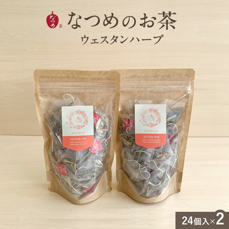 【月間優良ショップ受賞】送料無料★なつめのお茶【ウエスタンハーブ】3g×24個入 2袋セット(母の日 ギフト 女性 お悩み 薬膳茶 なつめ茶 ブレンドティー ハーブティー 更年期 ティーバッグ ノンカフェイン 温活 リラックス 無添加 プレゼント 韓国)