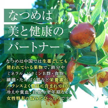 【メール便・送料無料】なつめチップお試しセット 12g×2袋(ダイエット スーパーフード ナツメ ドライフルーツ 砂糖不使用 無添加 鉄分 妊活 低カロリー)