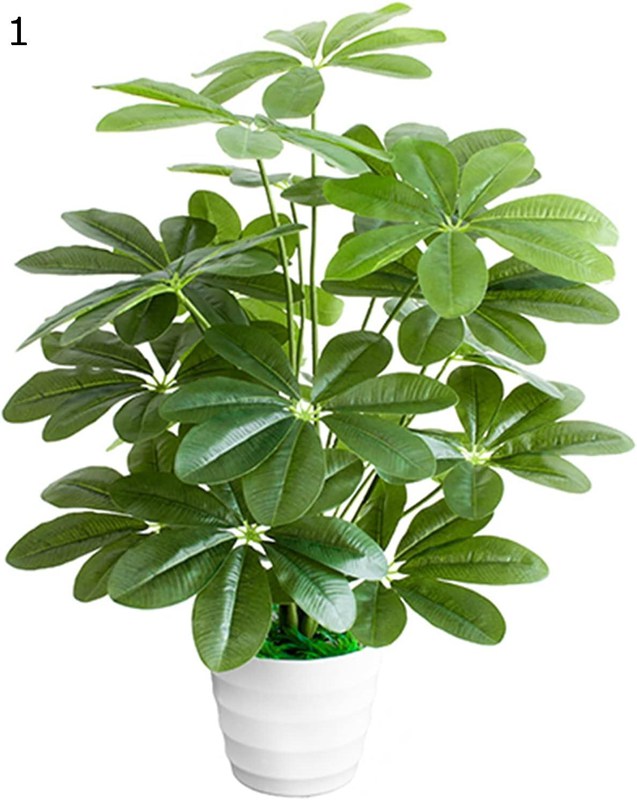 Other Aquatic Plants - 人工観葉植物 フェイクグリーン 大型 モンステラ ポトス 造花 水やり不要 約60CM 枯れない テーブル用 子供部屋 撮影 新築祝い リアル バレンタイデー 誕生日 ハロウィン ウェディング用 プレゼント