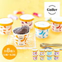 超早割 お歳暮 2025 ガレー プレミアムアイスクリーム 8個 セット 100ml EIGLN-8 Galler アイス アイスクリーム アイスクリームギフト スイーツ デザート おしゃれ ギフト 内祝い お礼 お返し お祝い 送料無料 濃厚 アイスギフト プレゼント お供え 冬ギフト 御歳暮