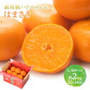 【2024年2月上旬～3月上旬お届け】 佐賀県産 はまさき 約 2kg (L・Mサイズ 11～14玉) JAからつ CG047 フルーツ 果物 柑橘 みかん ミカン 青果 くだもの 佐賀 麗紅 内祝い プレゼント お祝い 贈答品 箱 お礼 お返し ギフト 高級 送料無料