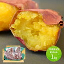 お中元 2025 夏ギフト 国産 冷凍 焼き芋 紅はるか 約1kg ( 2~4パック入り ※さつま芋のサイズにより変動します ) HN010 いも イモ 焼きいも お取り寄せ お祝い 誕生日 記念日 内祝い お礼 食品 レンチン 簡単調理 ギフト 送料無料 さつまいも 御中元 お盆 初盆 お供え