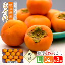 【予約販売 2023/11/13～11/30お届け】 岐阜県産 「富有柿」 Lサイズ 14玉入 (個包装なし・熨斗不可) 約3kg SF1L14NW 柿 かき カキ 糖度16度以上 秀品 贈答用 お取り寄せフルーツ フルーツ 青果 くだもの 果物 お祝い 内祝い 食品 ギフト プレゼント 送料無料