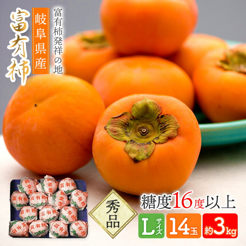 【予約販売 2023/11/13～11/30お届け】 岐阜県産 「富有柿」 Lサイズ 14玉入 約3kg SFF1L14 柿 かき カキ 糖度16度以上 秀品 贈答用 お取り寄せフルーツ フルーツ 青果 くだもの 果物 お祝い 内祝い 食品 ギフト プレゼント 個包装 小分け 送料無料