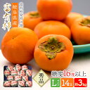 【予約販売 2023/11/13～11/30お届け】 岐阜県産 「富有柿」 Lサイズ 14玉入 約3kg SFF1L14 柿 かき カキ 糖度16度以上 秀品 贈答用 お取り寄せフルーツ フルーツ 青果 くだもの 果物 お祝い 内祝い 食品 ギフト プレゼント 個包装 小分け 送料無料