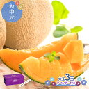 早割 お中元 2025 【6/16〜8/31お届け】 坂口農産 北海道 富良野 鳳凰 メロン 秀品 大玉(2L)3玉 SG005 3個 鳳凰メロン 富良野メロン...