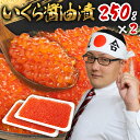 母の日 父の日 2025 いくら 醤油漬け サーモントラウト 250g ×2パック ST003 イクラ いくら醤油漬け イクラ醤油漬け 海鮮 軍艦巻 いくら丼 ...