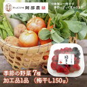 母の日 父の日 2025 お野菜7種と加工品1品 ( 梅干し ) AB005 食品 青果 野菜 旬 やさい 梅 うめぼし 福島 詰め合わせ ギフト 贈り物 御祝...