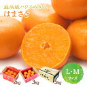 【2025年2月中旬〜下旬お届け】 佐賀県産 はまさき 約2〜5kg (L・Mサイズ) JAからつ CG047 CG048 CG057 2kg 3kg 5kg みかん 箱 買い 箱買い みかん箱買い 甘い フルーツ 果物 柑橘 ミカン 青果 くだもの 佐賀 麗紅 内祝い お祝い お礼 お返し ギフト 高級 送料無料