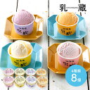 母の日 父の日 2025 「 乳蔵 」北海道 アイスクリーム 4種 8個 EY110129 アイス スイーツ 洋菓子 デザート メロン ストロベリー ハスカップ...