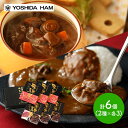 母の日 父の日 2025 吉田ハム 飛騨牛 カレー シチュー セット 6食 JZH-70CS 総菜 惣菜 カレー ビーフカレー ビーフシチュー 飛騨牛 牛肉 ビ...
