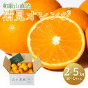 母の日 2025 【母の日 5/11お届け】和歌山 直送 森本農園の 清見オレンジ 約 2kg 3kg 5kg( M 〜 L サイズ混合 ) KZ-SKU みか...