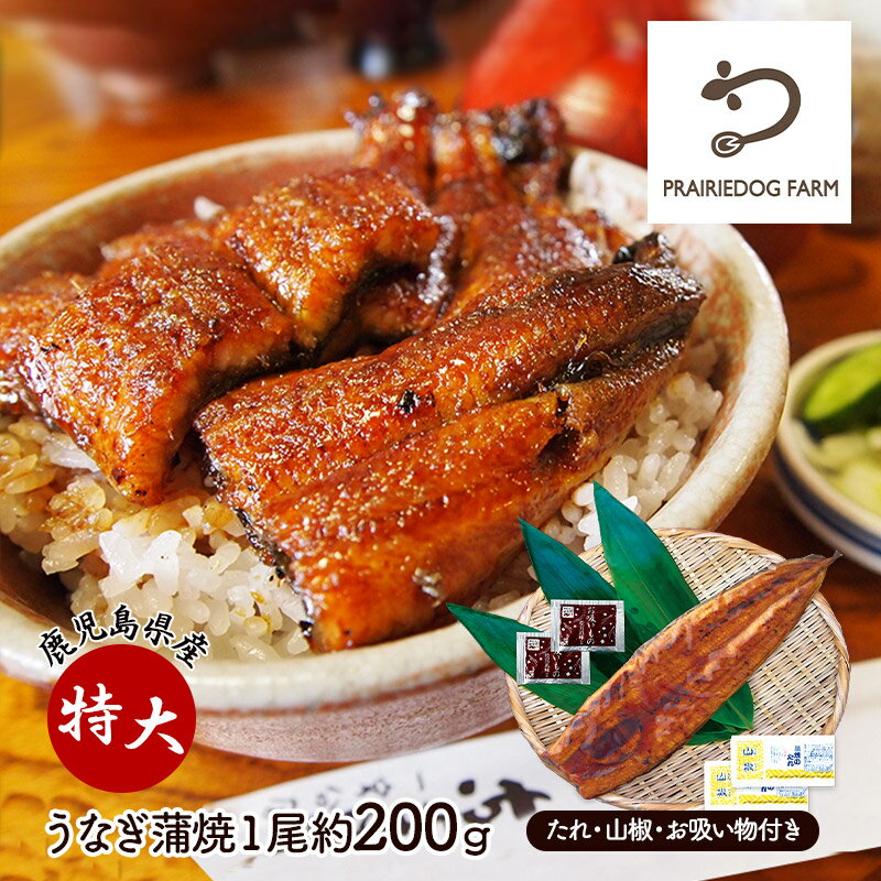 【クーポン配布中♪】 早割 お歳暮 2024 特大 国産 鹿児島県産 うなぎ うなぎ蒲焼 1尾 約200g PDPFU-017-A 惣菜 総菜 蒲焼き 蒲焼 関東風 たれ 山椒 お吸い物付き ウナギ 鰻 贅沢 グルメ お取り寄せ お祝い 内祝い お礼 ギフト 送料無料 ご飯のお供 おつまみ お返し 御歳暮