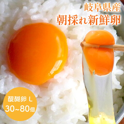 【6/1〜8/31お届け】 醍醐卵 L 30個 50個 80個 SFDG-SKU 卵 たまご 生卵 鳥卵 鶏卵 タマゴ 朝採れ 新鮮 生みたて 採れたて Lサイズ 食品 岐阜 特産 産地直送 高級卵 送料無料 【6/1〜8/31お届け】 醍醐卵 L 30個 50個 80個 SFDG-SKU 卵 たまご 生卵 鳥卵 鶏卵 タマゴ 朝採れ 新鮮 生みたて 採れたて Lサイズ 食品 岐阜 特産 産地直送 高級卵 送料無料