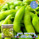 早割 お中元 2025 【7/8~8/31お届け】 岐阜県産えだまめギフト 茶々丸 180g×8P入 SFEDA-GC8 セット 枝豆 えだまめ 豆 岐阜 A等級 国産 特産 おつまみ 青果 ギフト プレゼント 送料無料 御中元