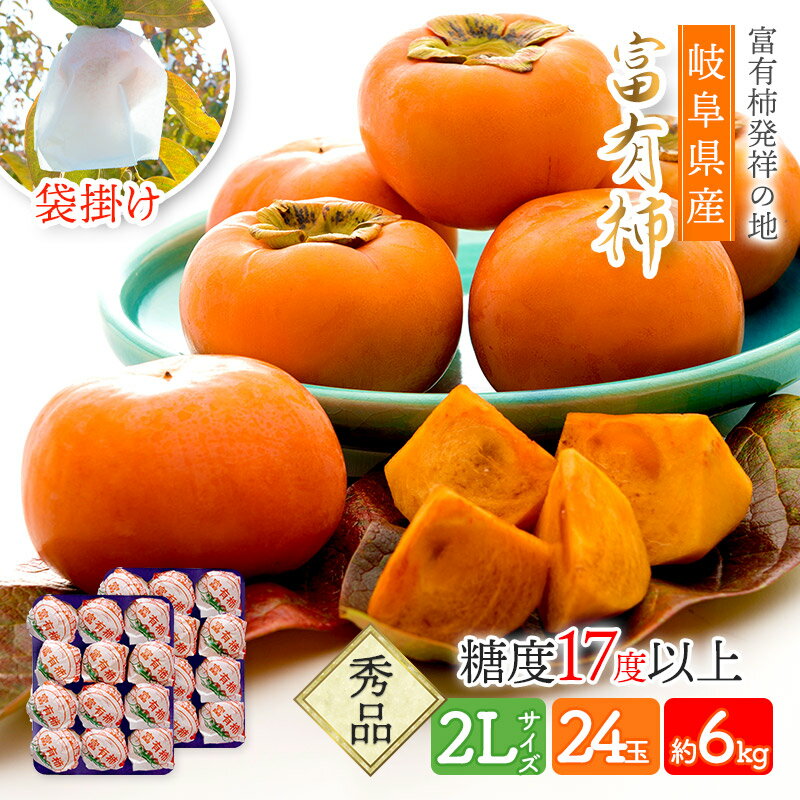 【予約販売 12/5～12/19お届け】 岐阜県産 樹上完熟「袋掛け富有柿」 2Lサイズ 24玉 SFFF2L24 柿 かき カキ 赤秀 品 重量約250g 糖度17度 以上 果色7 以上 贈答用 フルーツ くだもの 果物 プレゼント お取り寄せ お祝い