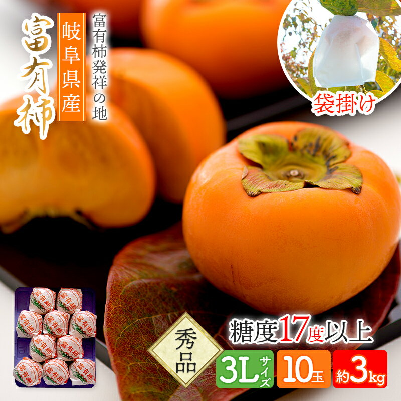 【予約販売 12/5～12/19お届け】 岐阜県産 樹上完熟 「袋掛け富有柿」 3Lサイズ 10玉 SFFF3L10 柿 かき カキ 赤秀 品 重量約300g 糖度17度 以上 果色7 以上 フルーツ くだもの 果物 プレゼント お取り寄せ お祝い 記念日